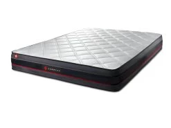 Matelas REGEN à Mémoire De Forme 160x200 -Magasin de lits matelas 10312735